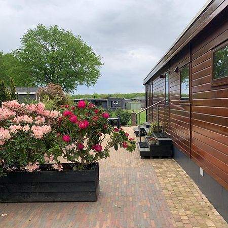 De Specht Villa Anloo Exteriör bild