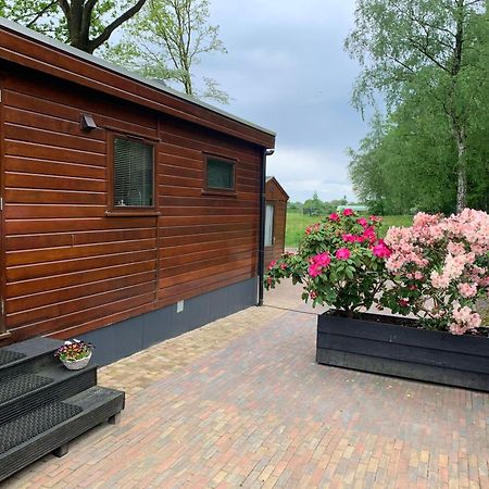 De Specht Villa Anloo Exteriör bild
