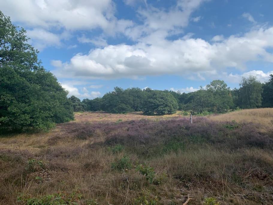De Specht Villa Anloo Exteriör bild