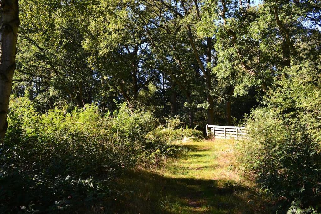 De Specht Villa Anloo Exteriör bild