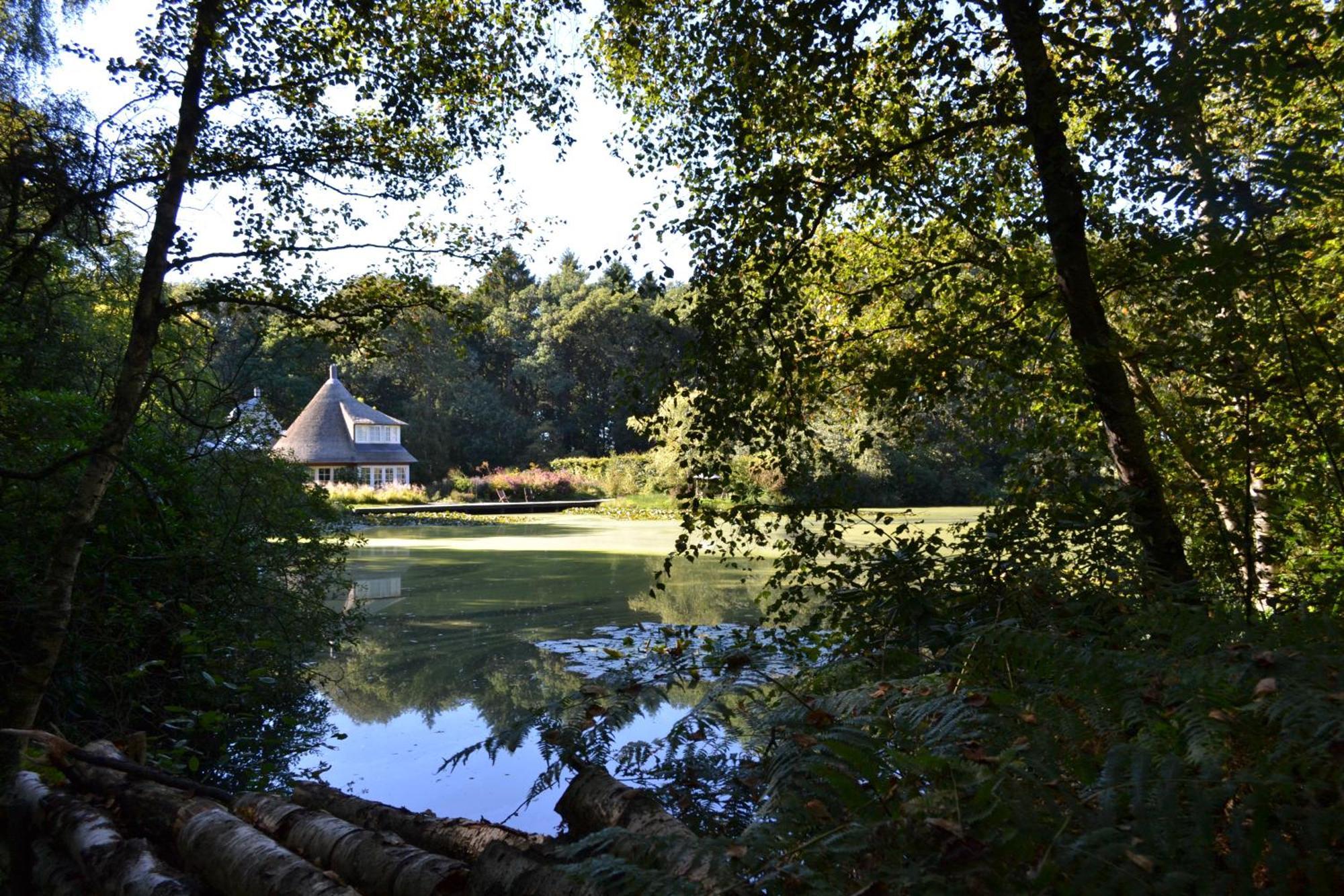 De Specht Villa Anloo Exteriör bild