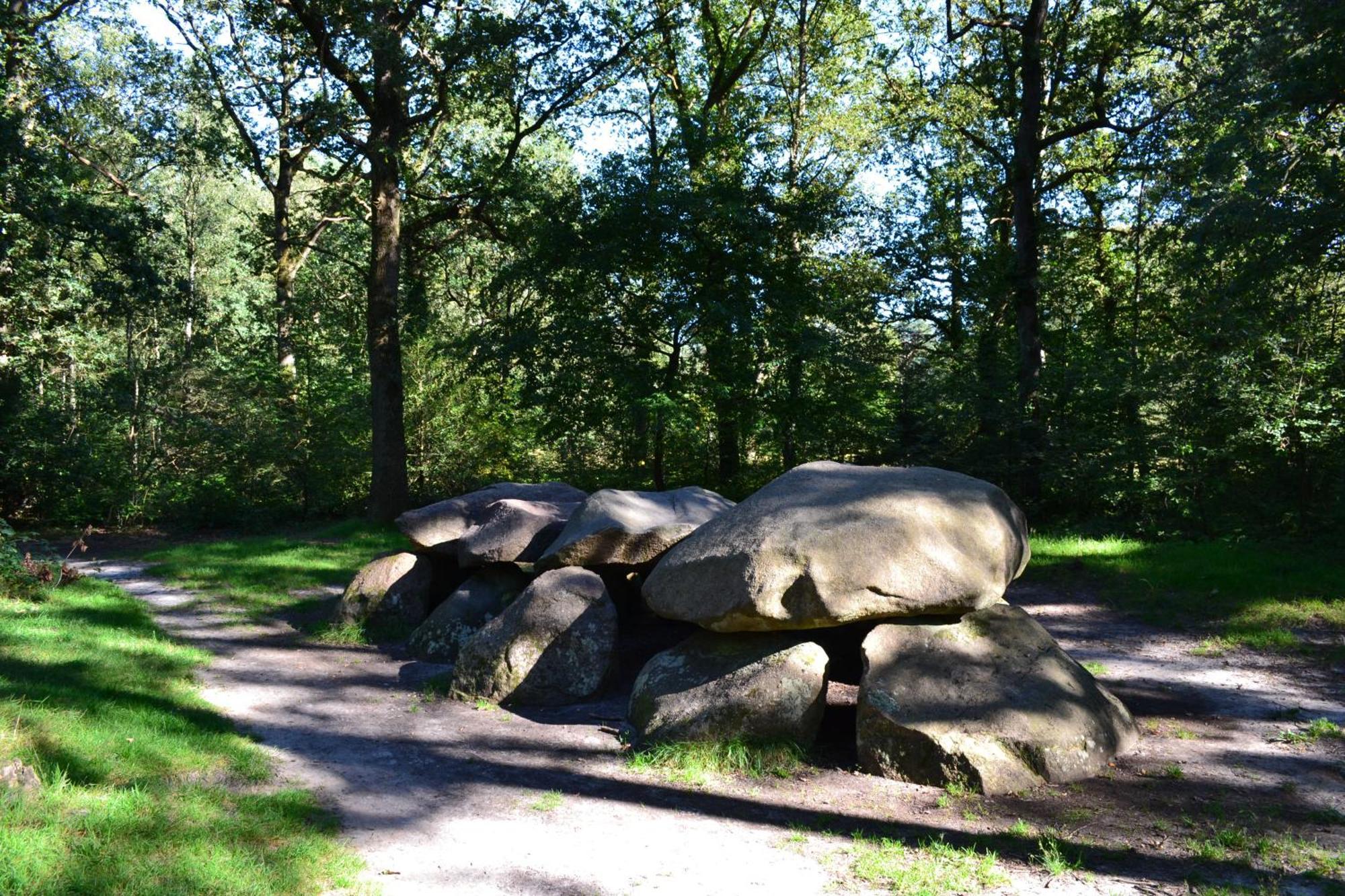 De Specht Villa Anloo Exteriör bild