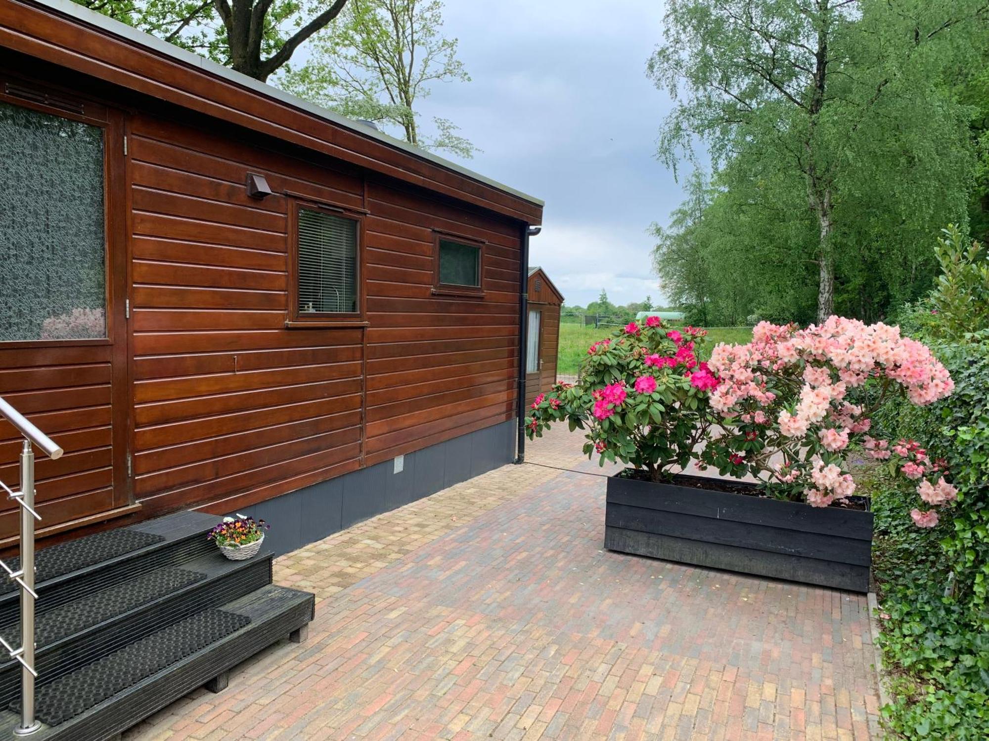 De Specht Villa Anloo Exteriör bild